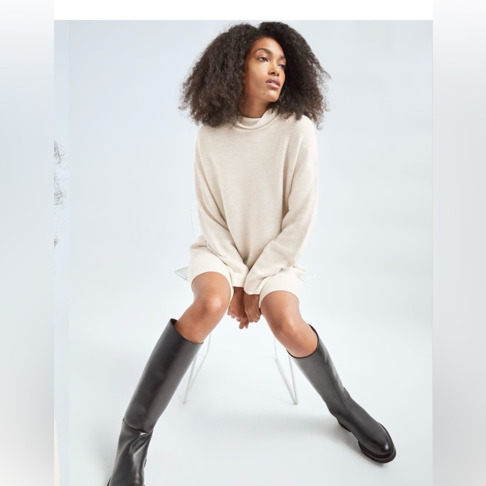 ARITZIA Babaton Maclean sweater dress
